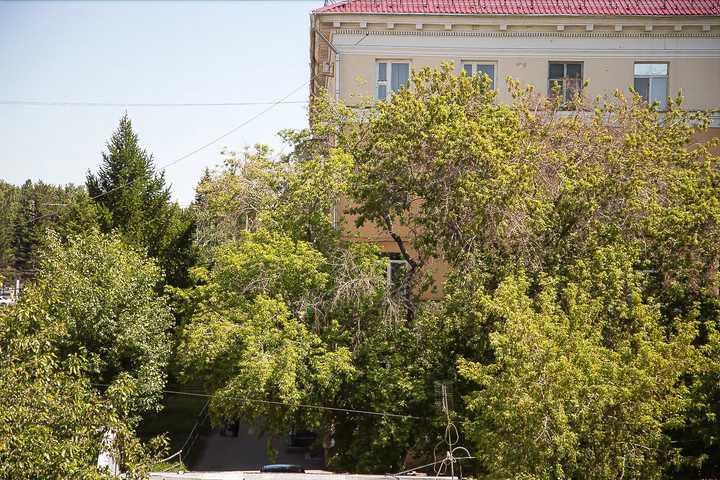 gallery image 0