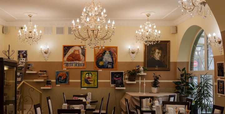 gallery image 7