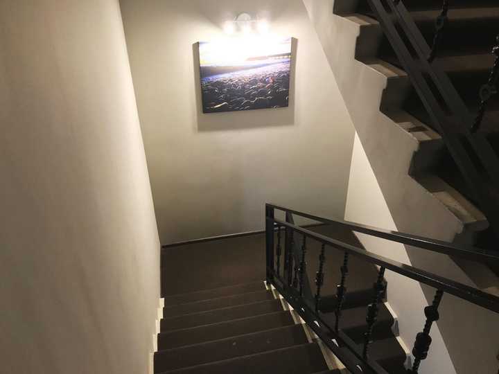 gallery image 14