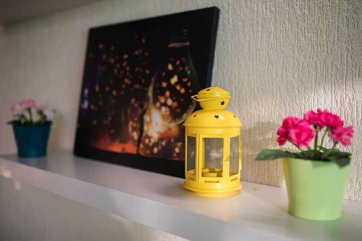 gallery image 12