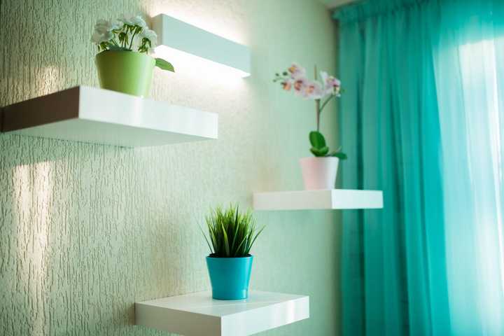gallery image 14