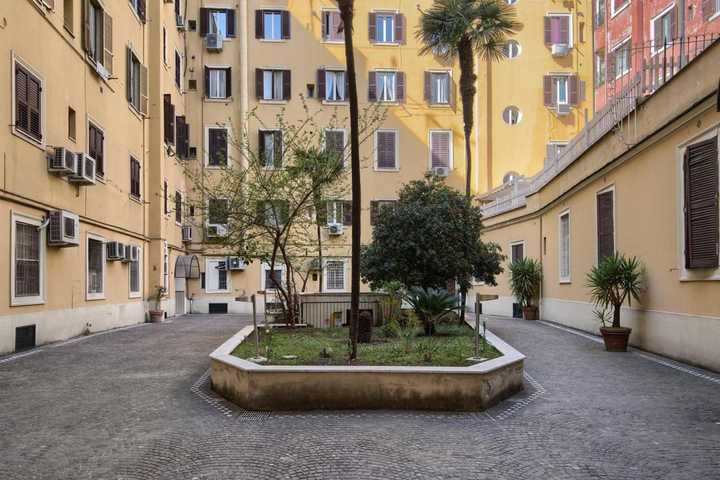 gallery image 11