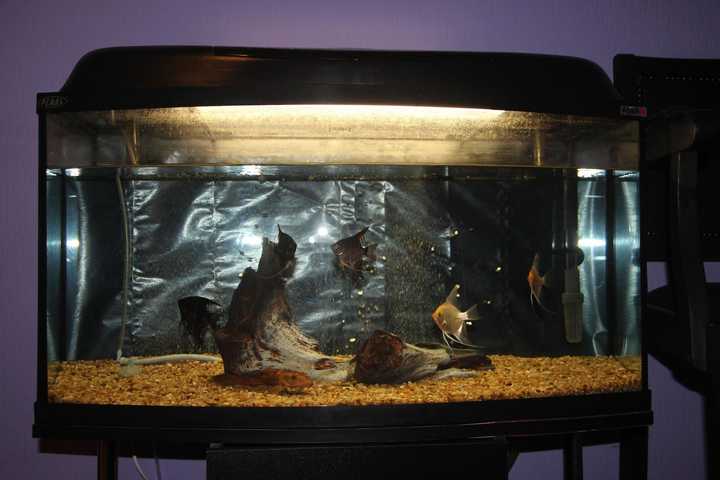 gallery image 1