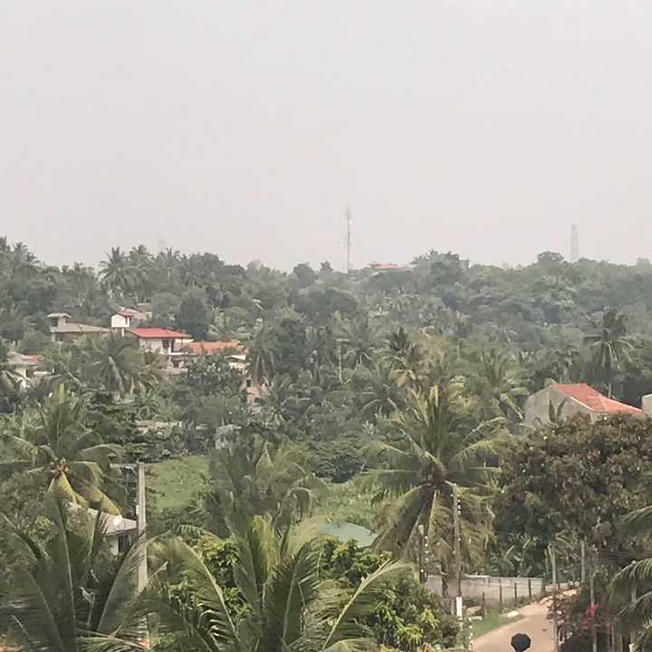 gallery image 21