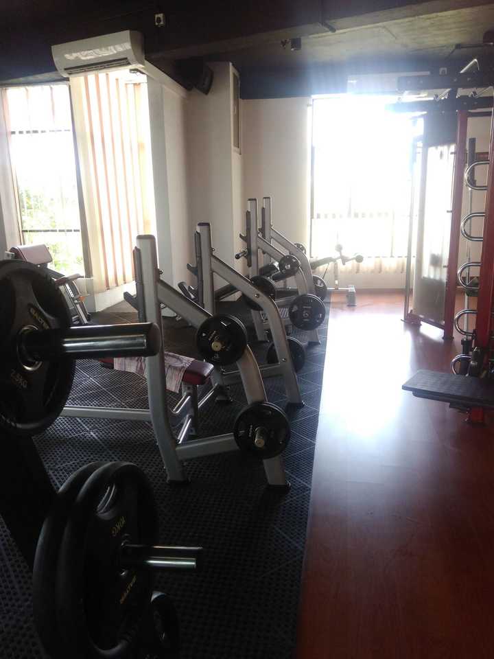 gallery image 7