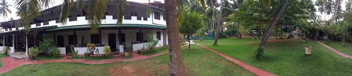 gallery image 7