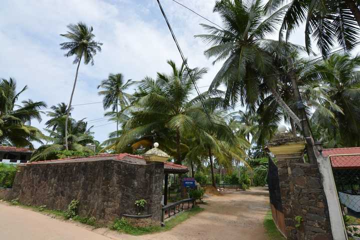 gallery image 13