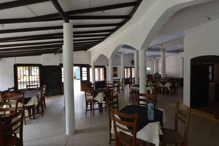 gallery image 11