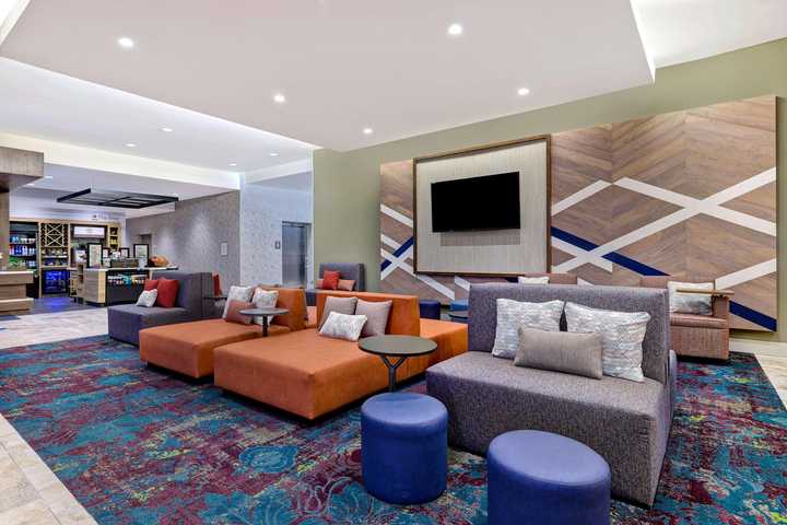 gallery image 12