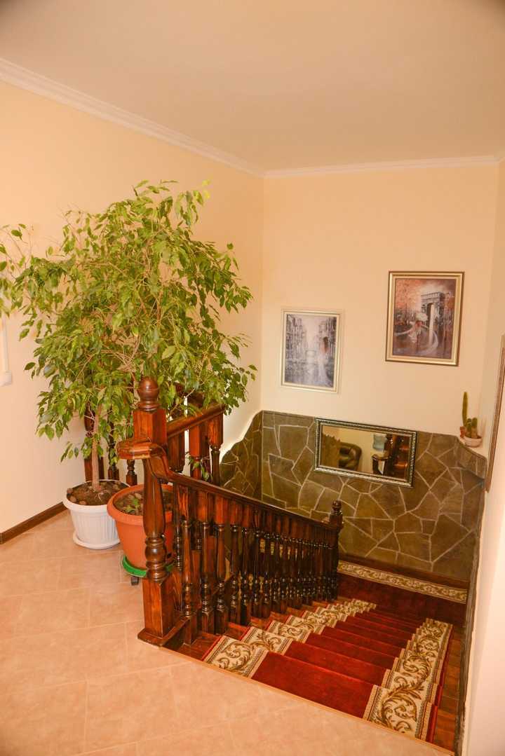 gallery image 15