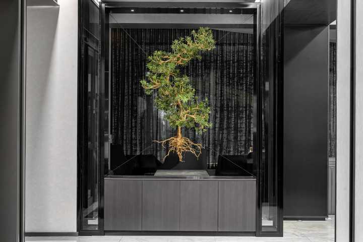 gallery image 11