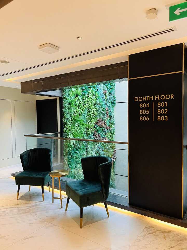 gallery image 9