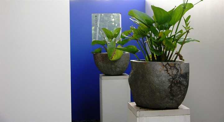gallery image 20