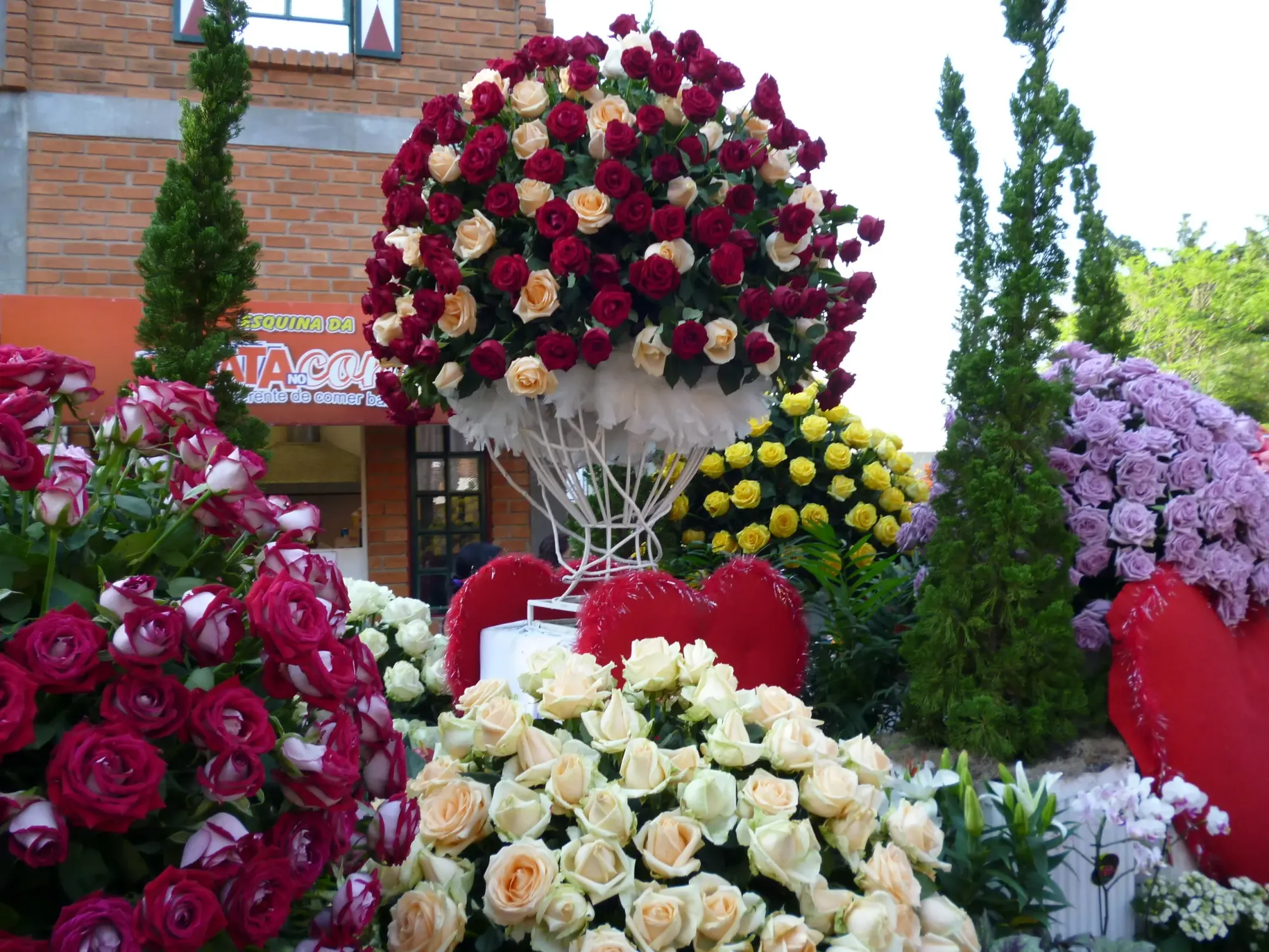 File:Expoflora, Holambra-SP - panoramio (2).jpg - Wikimedia Commons