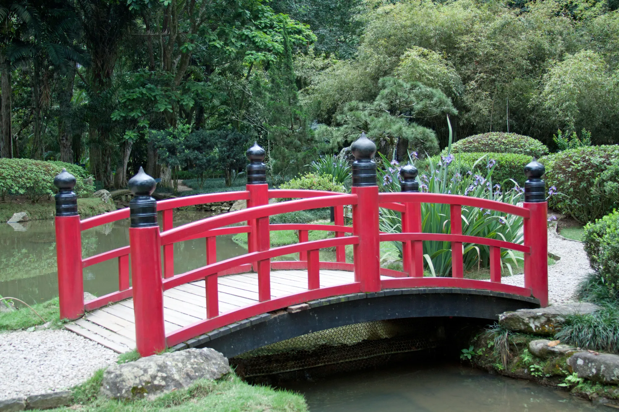 File:JBRJ Ponte do Jardim Japonês.jpg - Wikimedia Commons