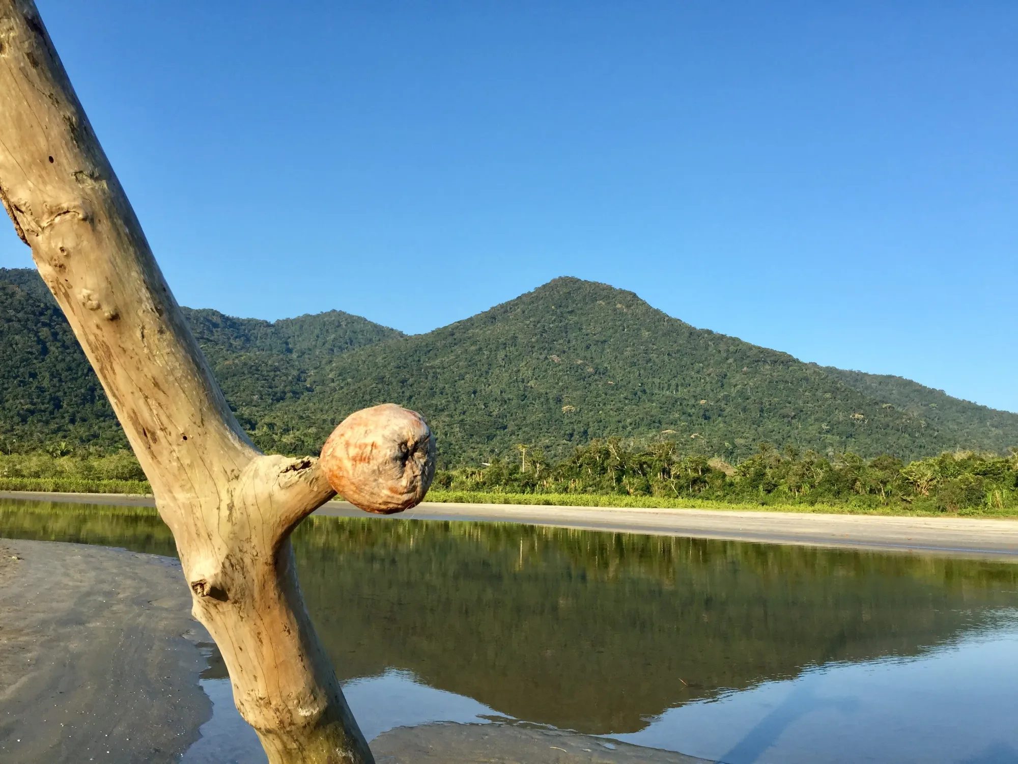 File:Parque Estadual da Serra do Mar - Praia da Fazenda - Caroline Rodrigues de Oliveira.jpg - Wikimedia Commons