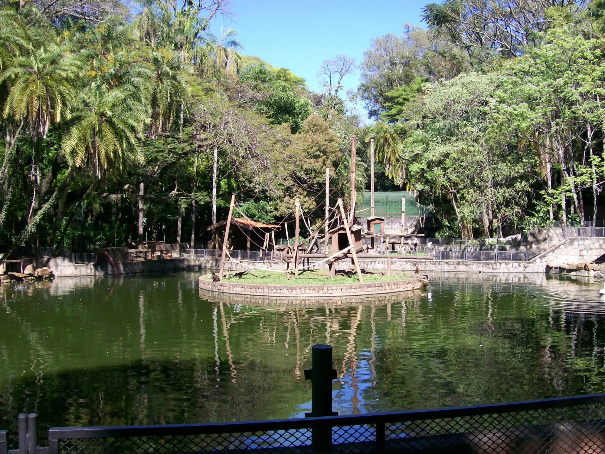 File:Bosque dos Jequitibás - Laguinho.JPG - Wikimedia Commons
