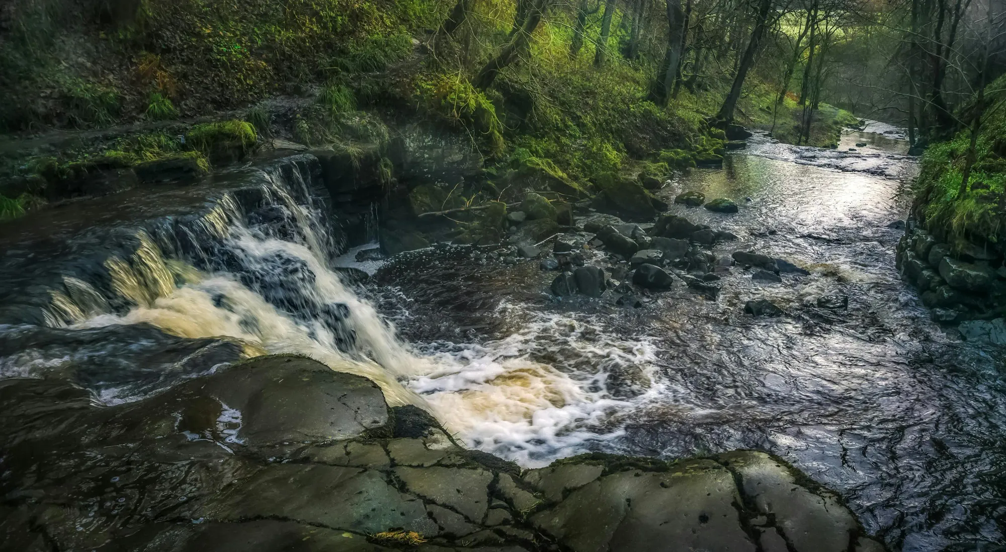 Foto profissional gratuita de água corrente, água fresca, água limpa, ao ar livre, balbuciando, beleza natural, borbulhando, brilhando, cachoeira, cair da noite, calma, calmo, campo, cênico, córrego, corrente, curso de água, em cascata, enseada, exuberante ...