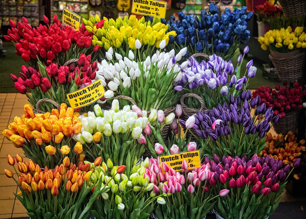 Amsterdam flower market | RickBoat | Flickr