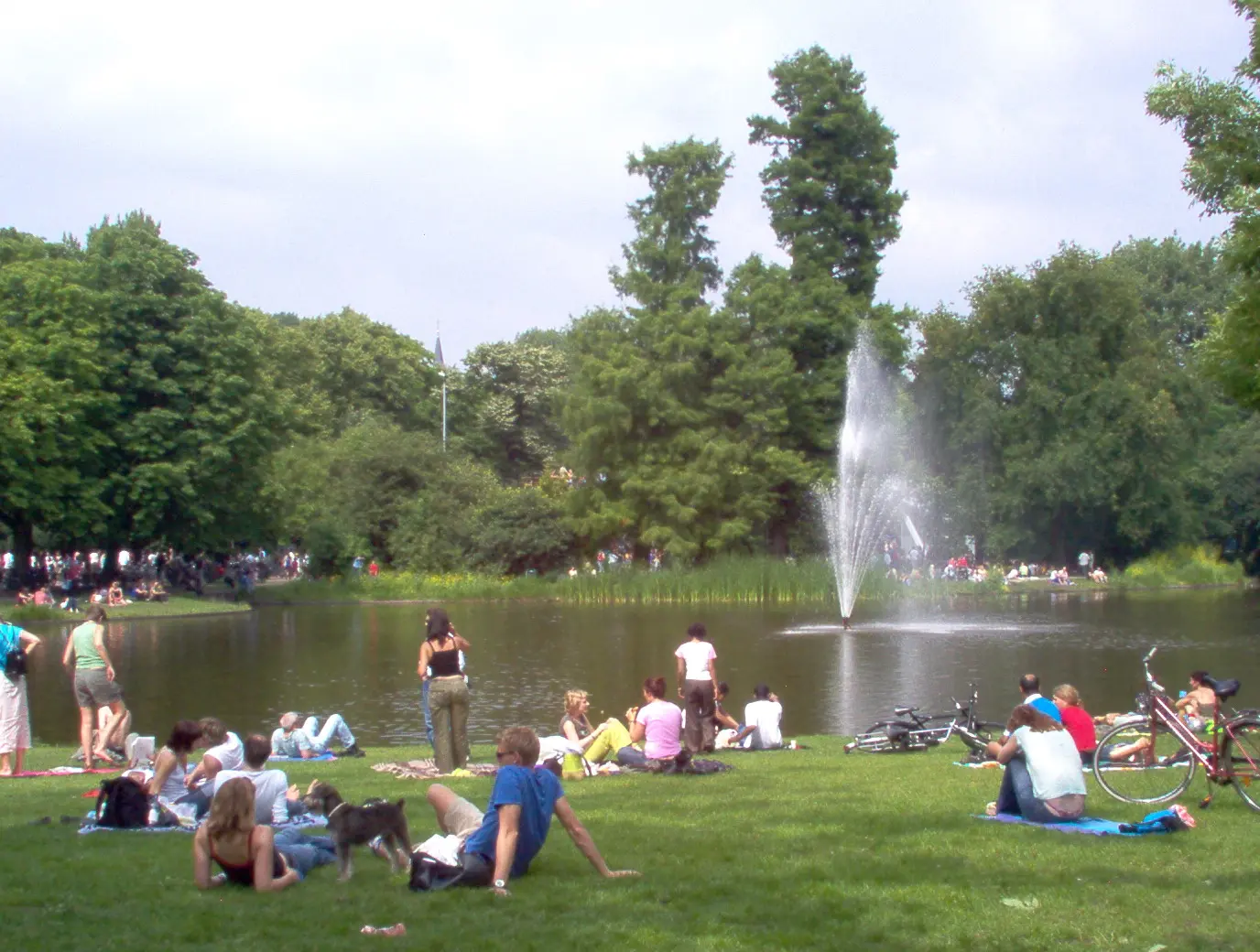 File:Vondelpark On A Sunny Day.jpg - Wikimedia Commons